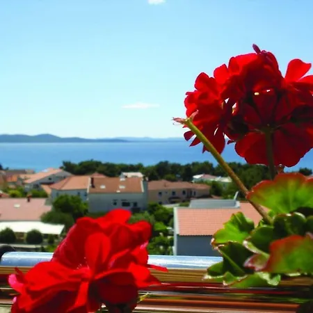Grozdana Apartment Zadar